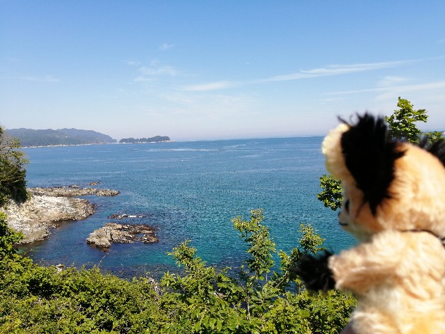f:id:hioritan:20200605165134j:image