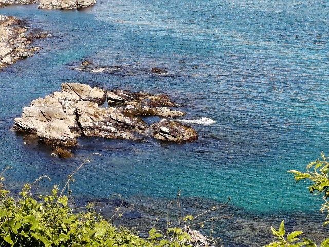 f:id:hioritan:20200605165246j:image
