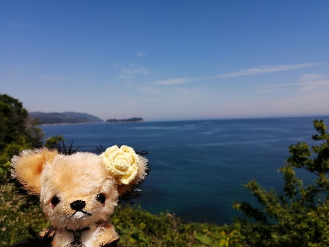 f:id:hioritan:20200605165344j:image