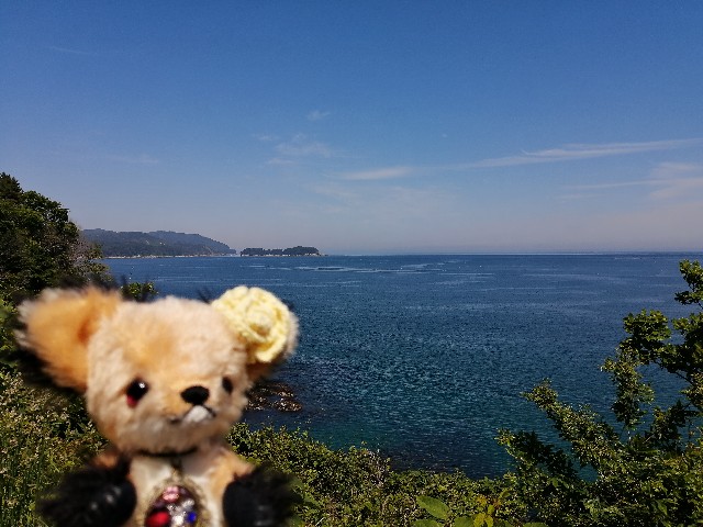 f:id:hioritan:20200605165406j:image