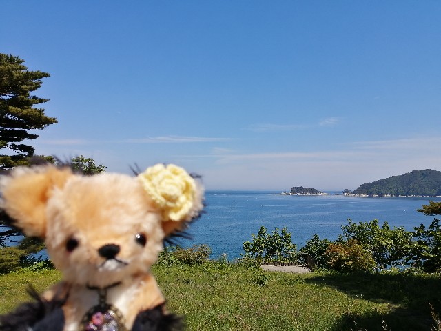 f:id:hioritan:20200605165511j:image