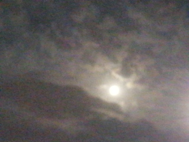 f:id:hioritan:20200611212729j:image