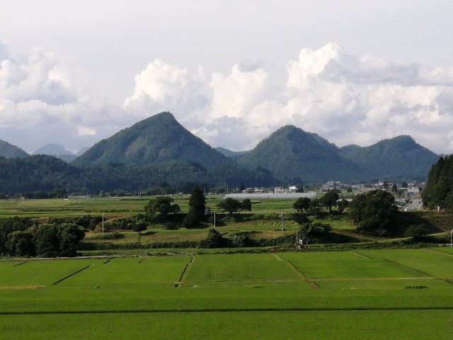 f:id:hioritan:20200807104704j:image f:id:hioritan:20200807104704j:image