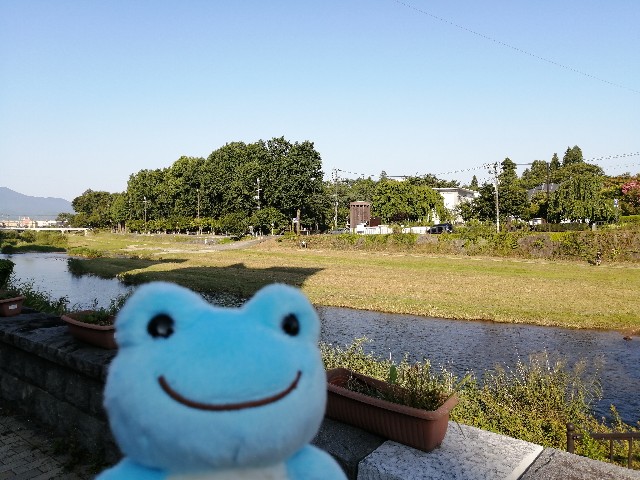 f:id:hioritan:20200904143121j:image f:id:hioritan:20200904143121j:image