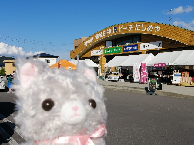 f:id:hioritan:20200929104538j:image