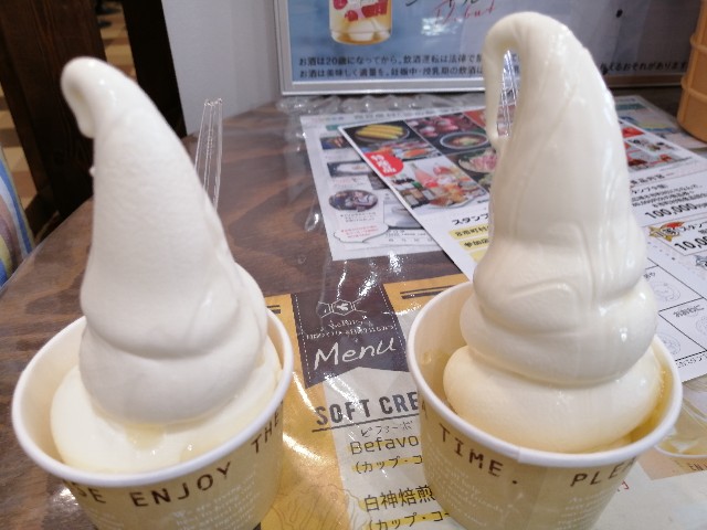 f:id:hioritan:20200929104604j:image
