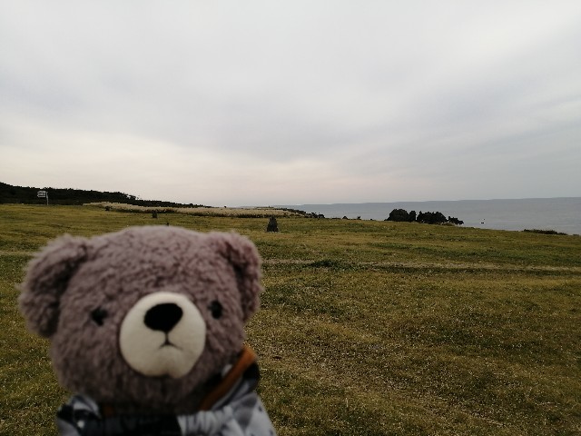 f:id:hioritan:20201021223809j:image