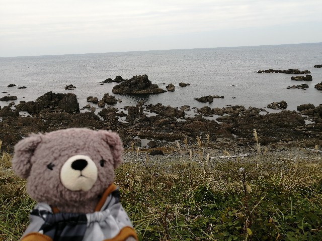f:id:hioritan:20201021224046j:image