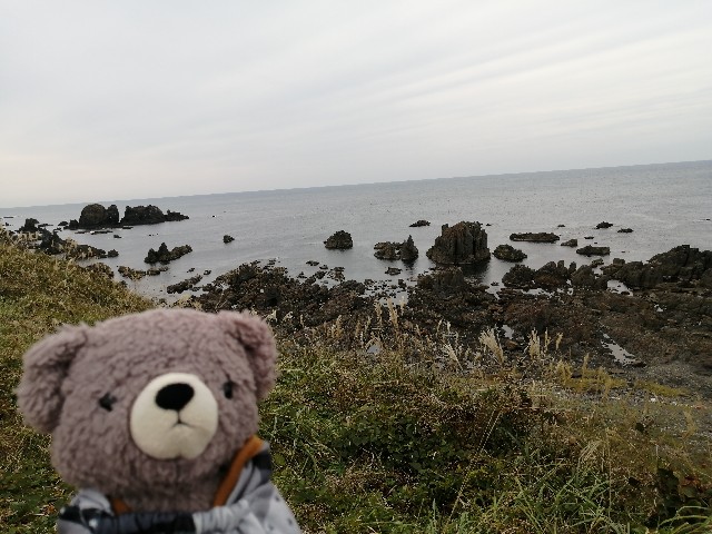 f:id:hioritan:20201021224117j:image