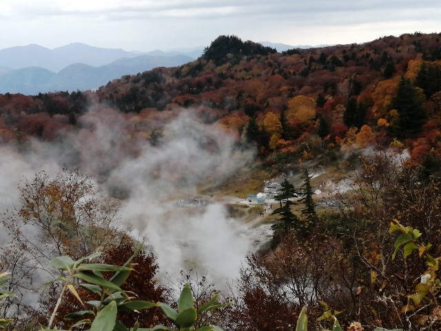 f:id:hioritan:20201109090255j:image