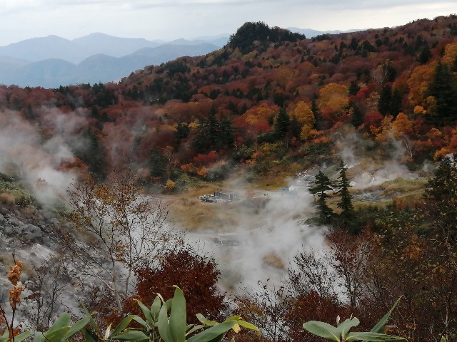 f:id:hioritan:20201109090314j:image