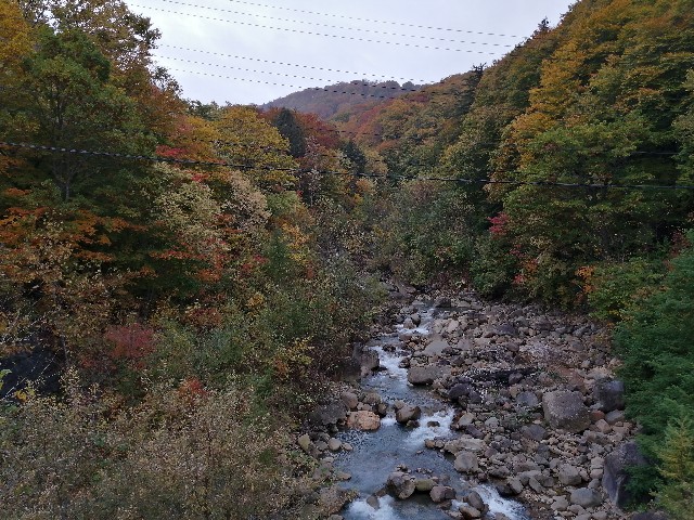 f:id:hioritan:20201109090549j:image