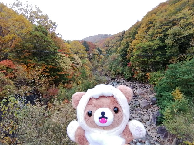 f:id:hioritan:20201109090609j:image
