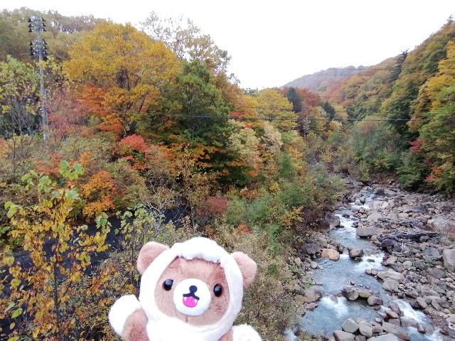 f:id:hioritan:20201109090629j:image