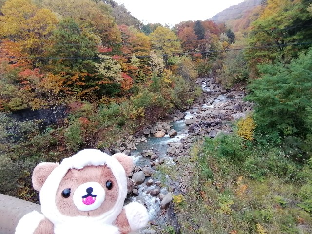 f:id:hioritan:20201109090704j:image