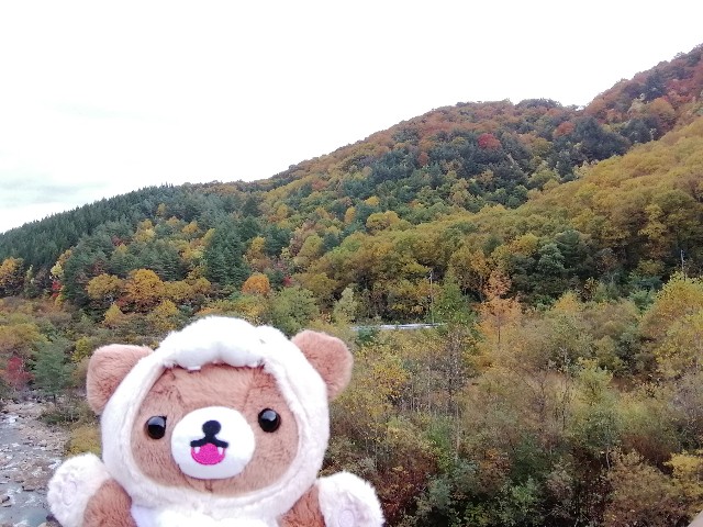 f:id:hioritan:20201109090731j:image