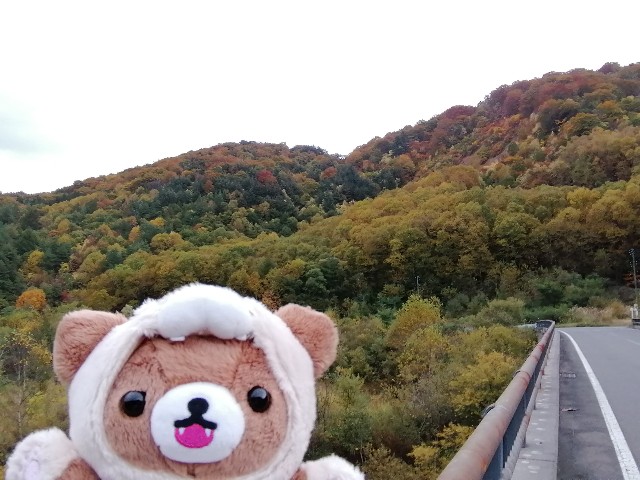 f:id:hioritan:20201109090753j:image