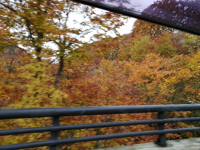f:id:hioritan:20201109090816j:image
