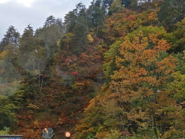 f:id:hioritan:20201109090856j:image