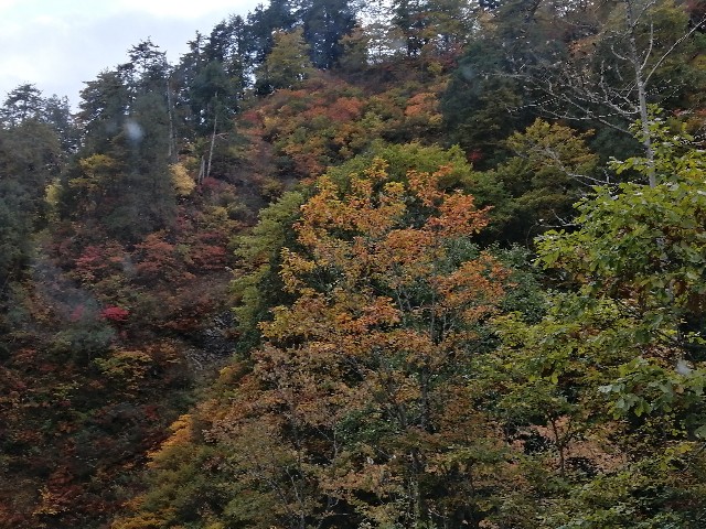 f:id:hioritan:20201109090919j:image