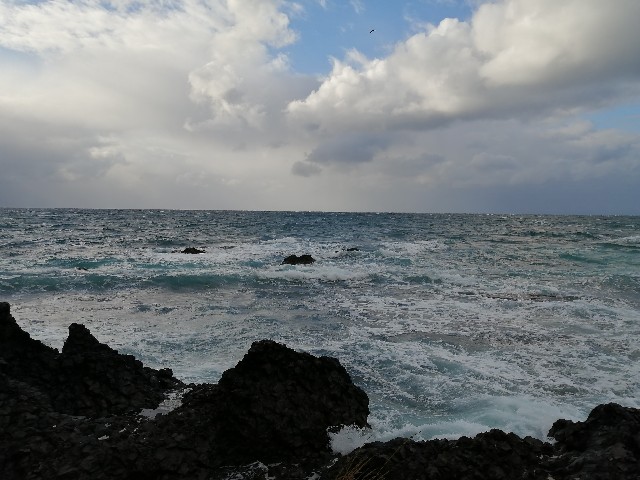 f:id:hioritan:20201118092408j:image
