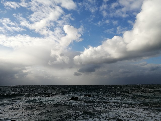 f:id:hioritan:20201118092520j:image