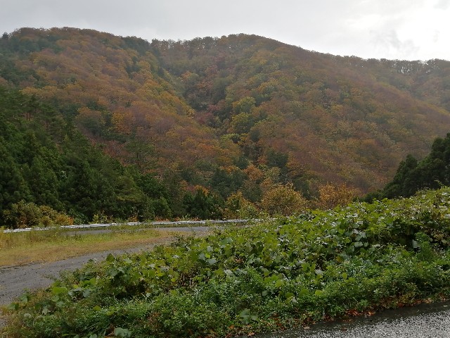 f:id:hioritan:20201118212246j:image