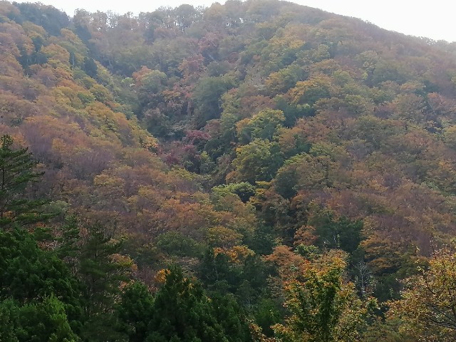 f:id:hioritan:20201118212356j:image