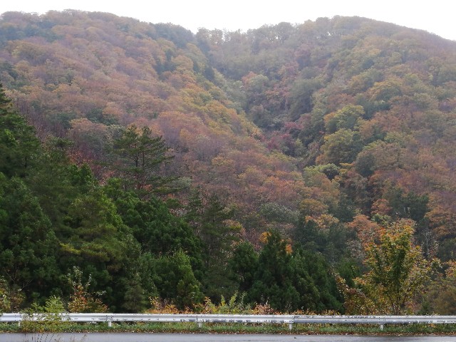 f:id:hioritan:20201118212417j:image