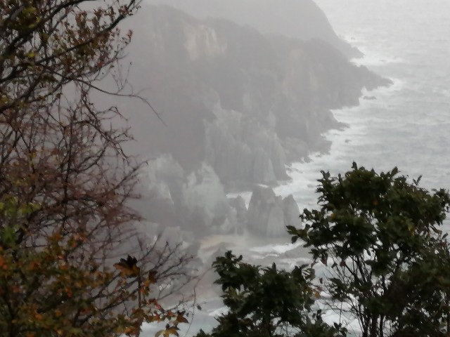f:id:hioritan:20201118212531j:image