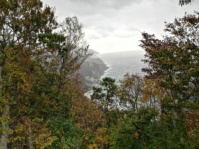 f:id:hioritan:20201118212546j:image