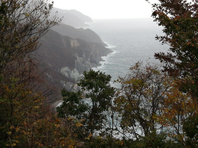 f:id:hioritan:20201118212606j:image