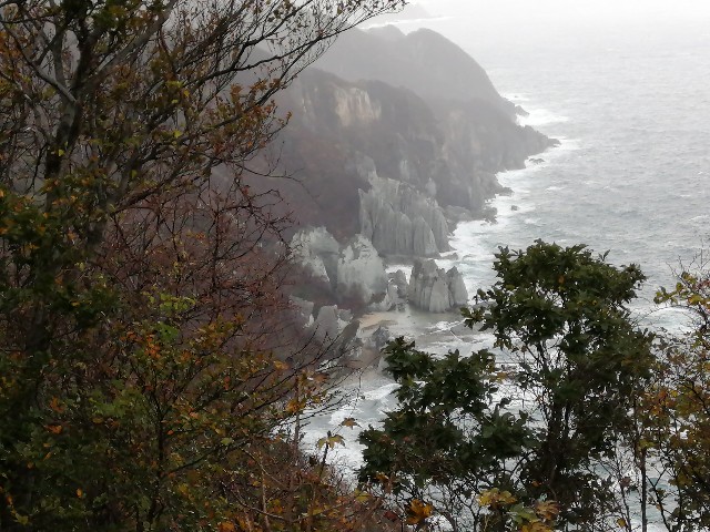 f:id:hioritan:20201118212626j:image