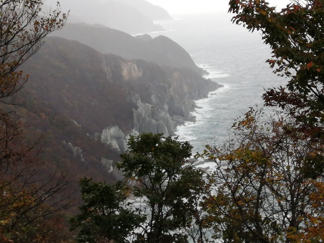 f:id:hioritan:20201118212645j:image