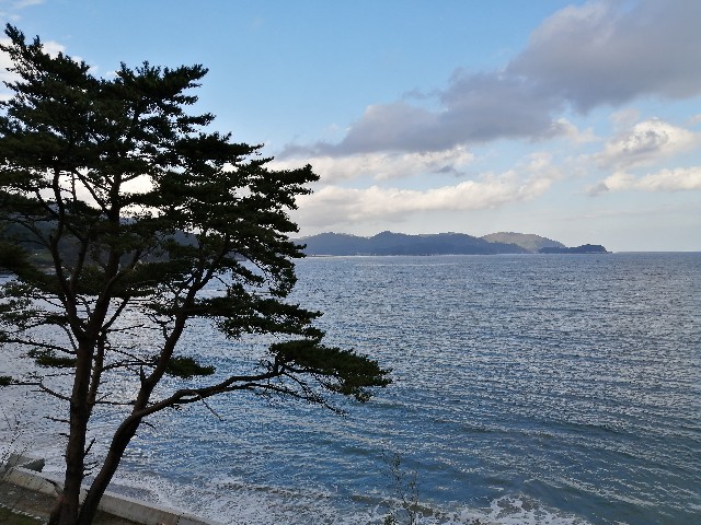 f:id:hioritan:20201124124642j:image f:id:hioritan:20201124124642j:image