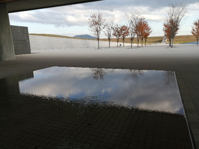 f:id:hioritan:20201124124727j:image f:id:hioritan:20201124124727j:image