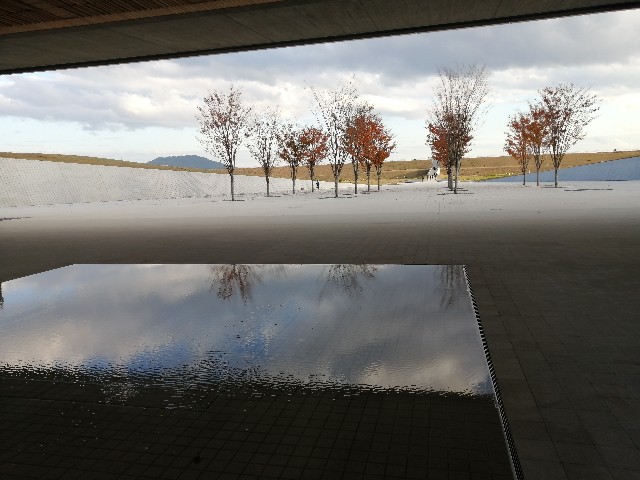 f:id:hioritan:20201124124744j:image f:id:hioritan:20201124124744j:image