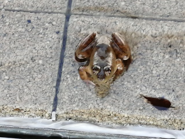 f:id:hioritan:20201124124805j:image f:id:hioritan:20201124124805j:image
