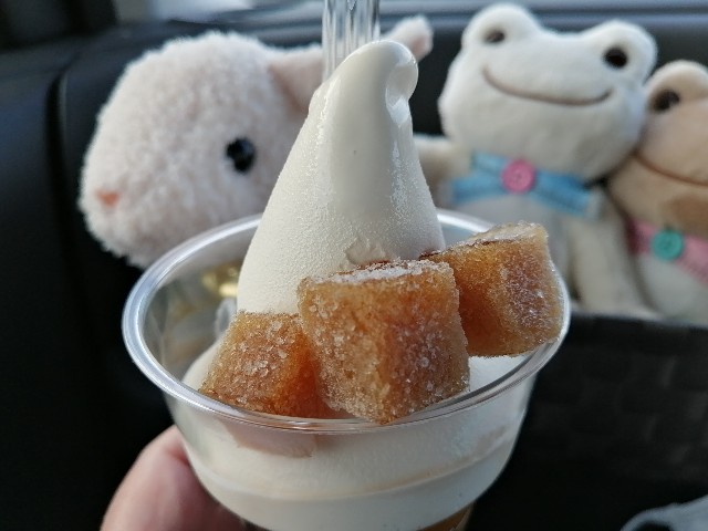 f:id:hioritan:20201124124939j:image f:id:hioritan:20201124124939j:image