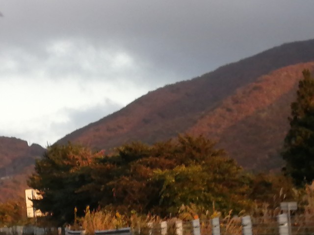 f:id:hioritan:20201124172725j:image