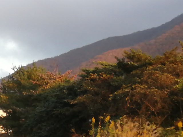 f:id:hioritan:20201124172749j:image