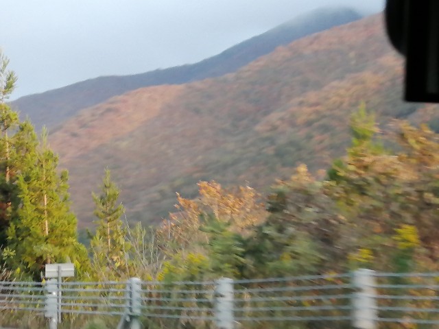 f:id:hioritan:20201124172816j:image