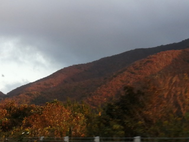 f:id:hioritan:20201124172845j:image
