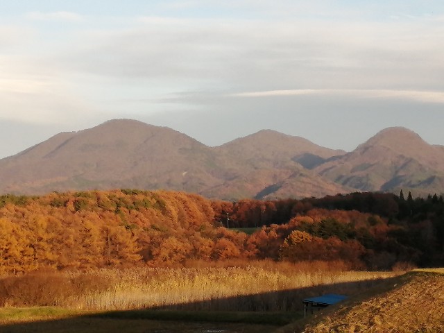 f:id:hioritan:20201127183648j:image