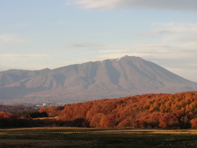f:id:hioritan:20201127183702j:image
