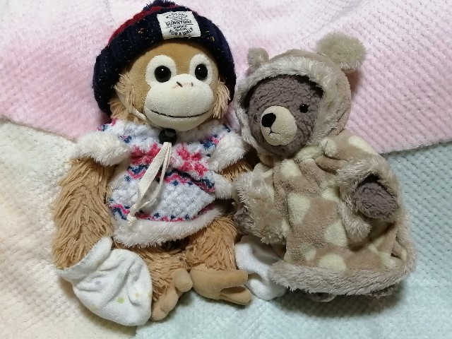 f:id:hioritan:20210121200631j:image f:id:hioritan:20210121200631j:image