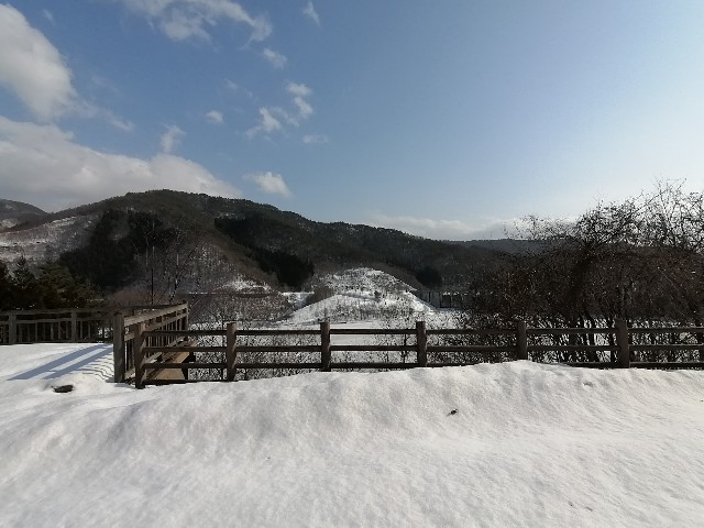 f:id:hioritan:20210227164416j:image