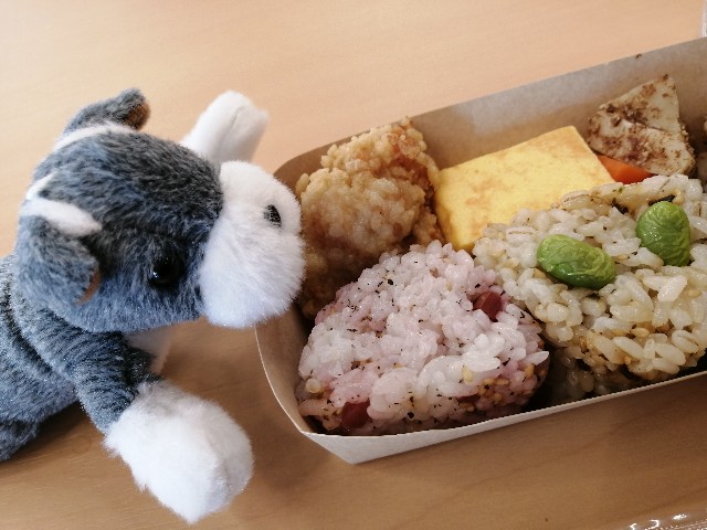 f:id:hioritan:20210228192034j:image