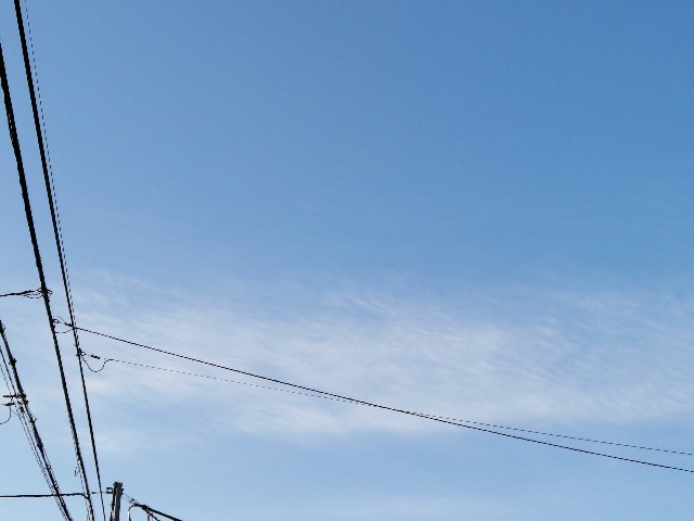 f:id:hioritan:20210308110916j:image f:id:hioritan:20210308110916j:image