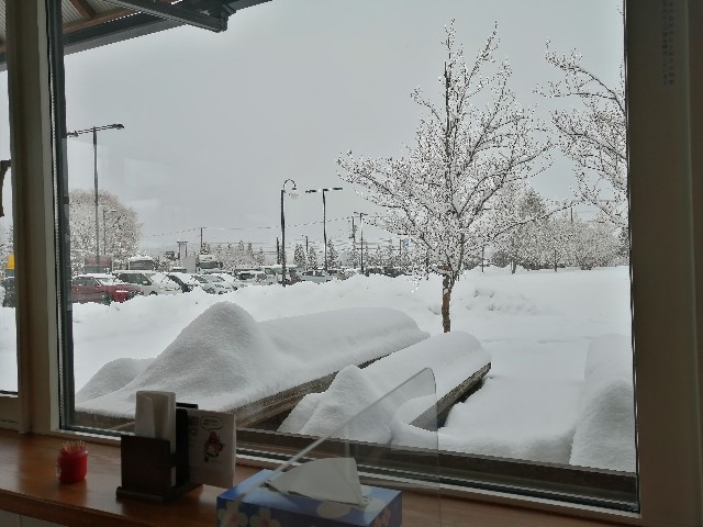 f:id:hioritan:20220126161046j:image f:id:hioritan:20220126161046j:image